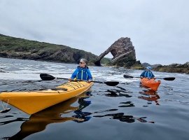 Kayakers, Bow Fiddle